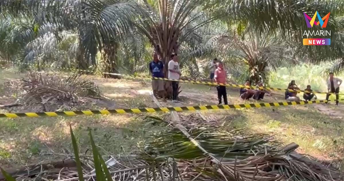 อดีตผอ.โรงเรียนวัย70 จบชีวิตกลางสวนปาล์ม ทิ้งพินัยกรรมให้ลูก 3 คน