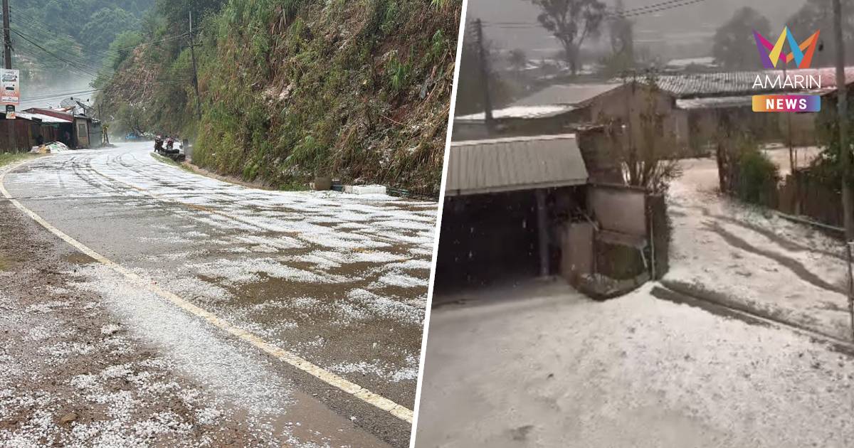 เหมือนหิมะตก! ลูกเห็บถล่มดอยอ่างขาง จนทำให้พื้นที่ขาวโพลนไปทั่วบริเวณ