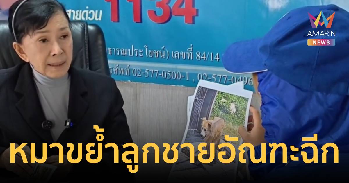 สลด! เด็ก 9 ขวบเคราะห์ร้ายถูกหมาบางแก้วกัดอัณฑะฉีก-คดีไม่คืบ