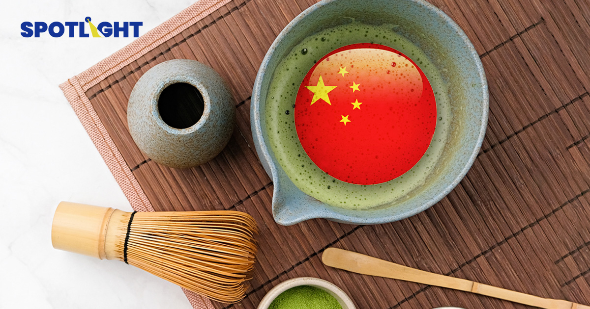 ‘มัทฉะจีน’ เตรียมผงาด พบคุณภาพใกล้ของญี่ปุ่น แต่ผลิตได้มากกว่า ถูกกว่า