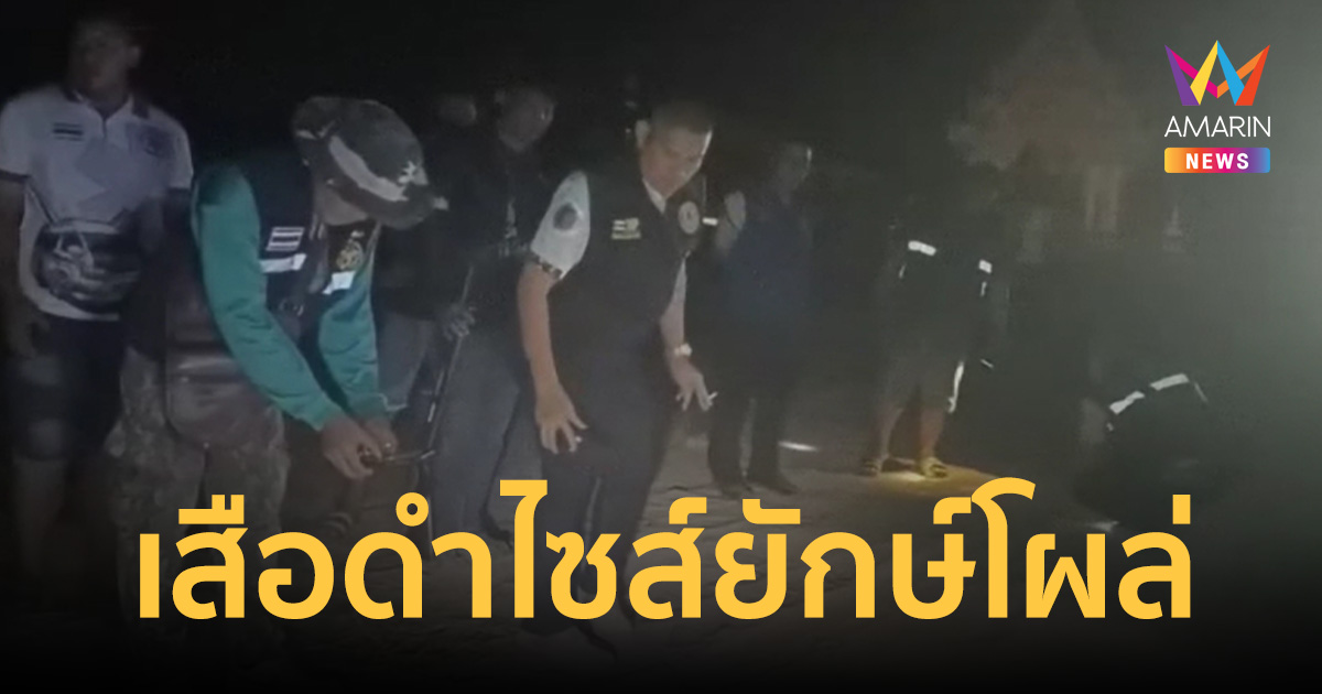 ผวาหนัก! เสือดำตัวเท่าเอวโผล่วัดบ้านไผ่ ระดมกำลังปูพรมล่าระทึกกลางดึก