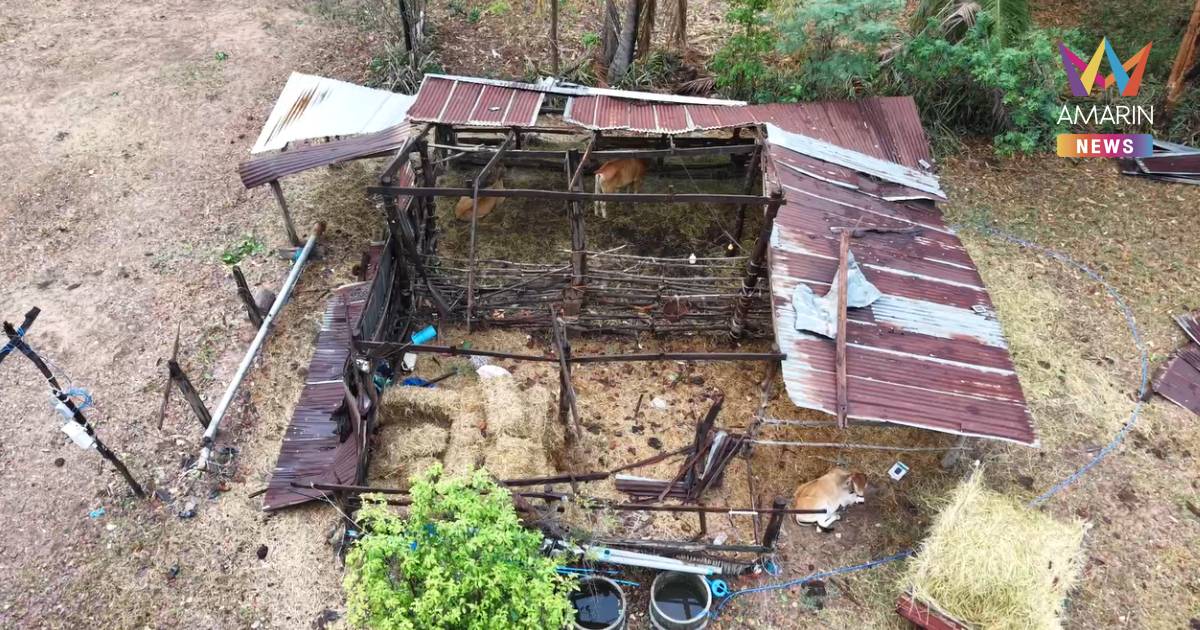 พายุฤดูร้อนถล่ม 2 อำเภอ มหาสารคาม ลมหมุนซัดหลังคาปลิว พังหลายสิบหลัง