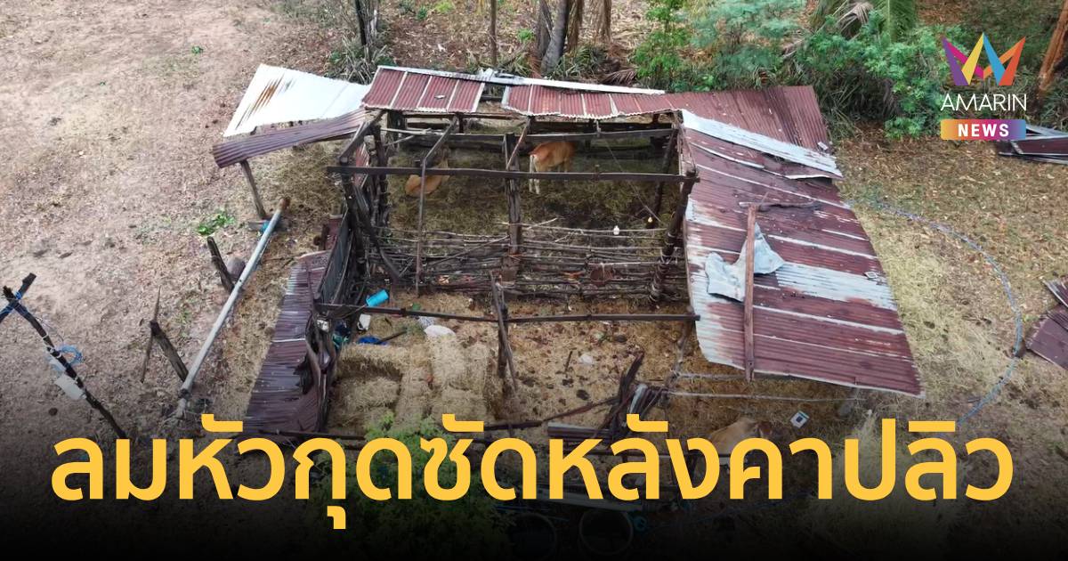 พายุฤดูร้อนถล่ม 2 อำเภอ มหาสารคาม ลมหมุนซัดหลังคาปลิว พังหลายสิบหลัง