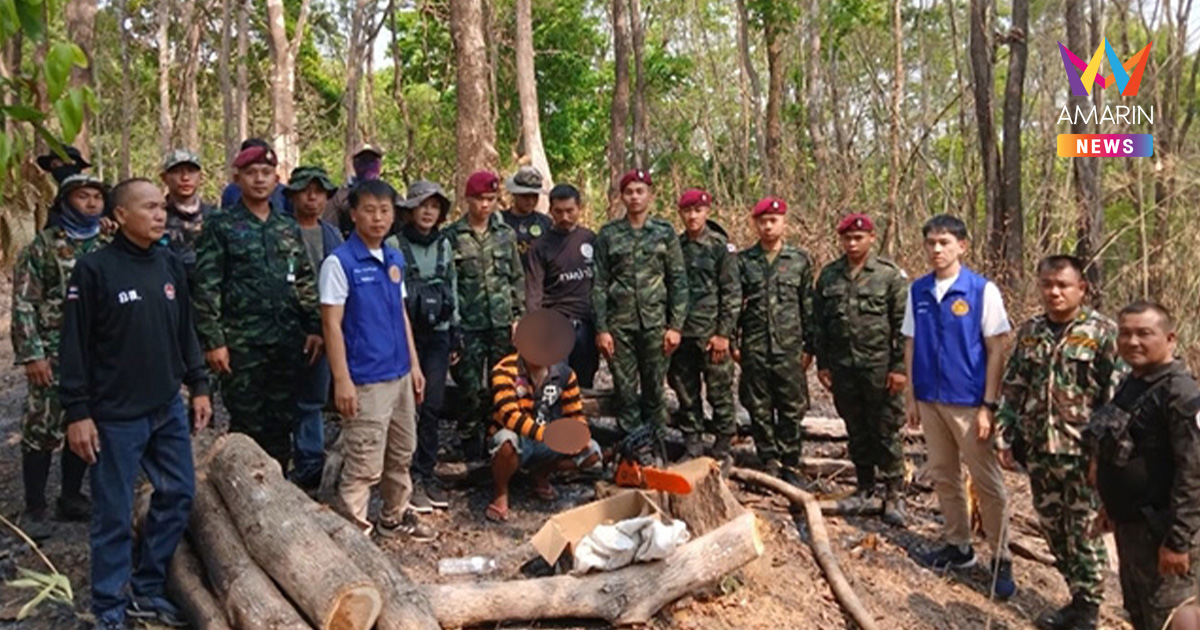 จับคาหนังคาเขา มอดไม้กำลังตัดไม้หวงห้าม กลางป่าสงวนฯ ลำปาง