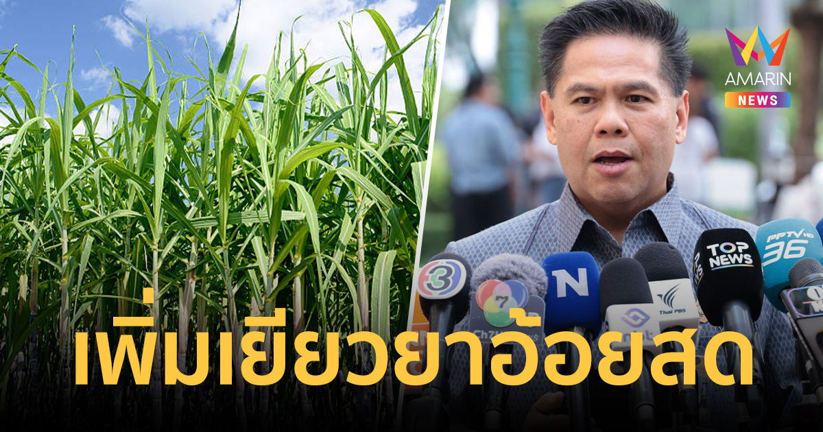 ชาวไร่อ้อยเฮ! 