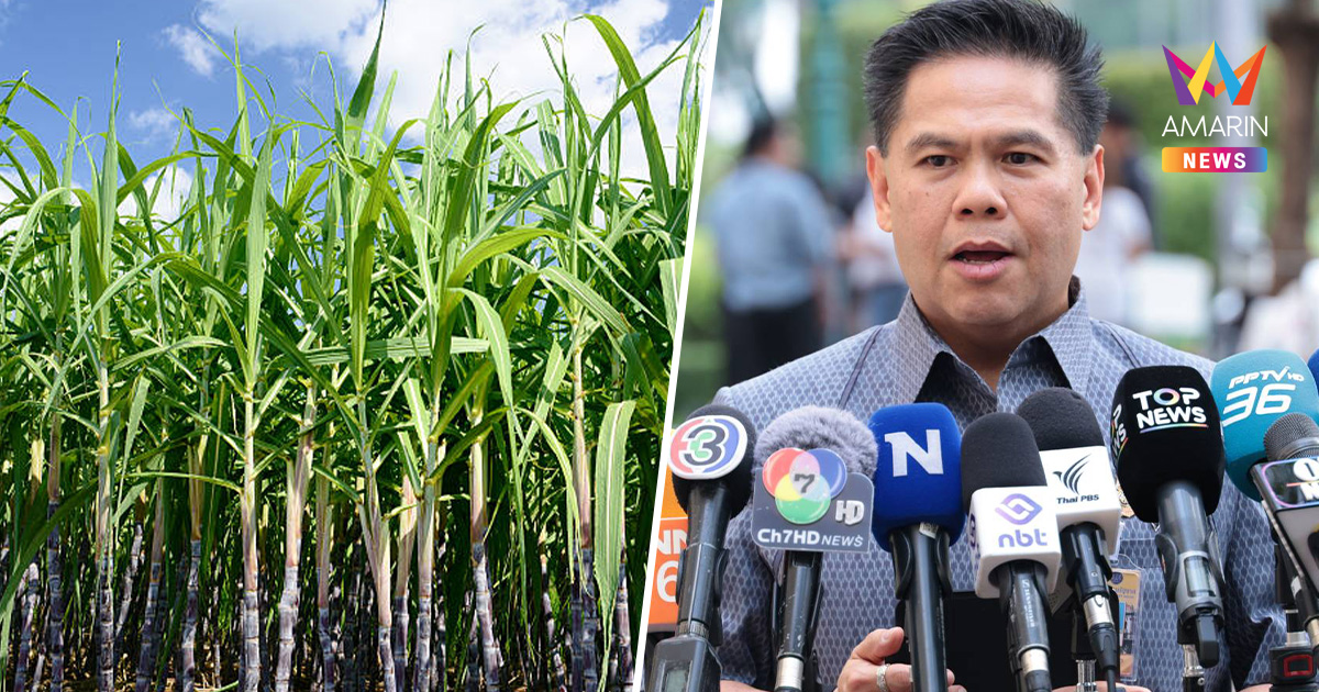 ชาวไร่อ้อยเฮ! "วราวุธ" จ่อชง ครม. ขยายวงเงินเยียวยาเพิ่ม 477 ล้านบาท
