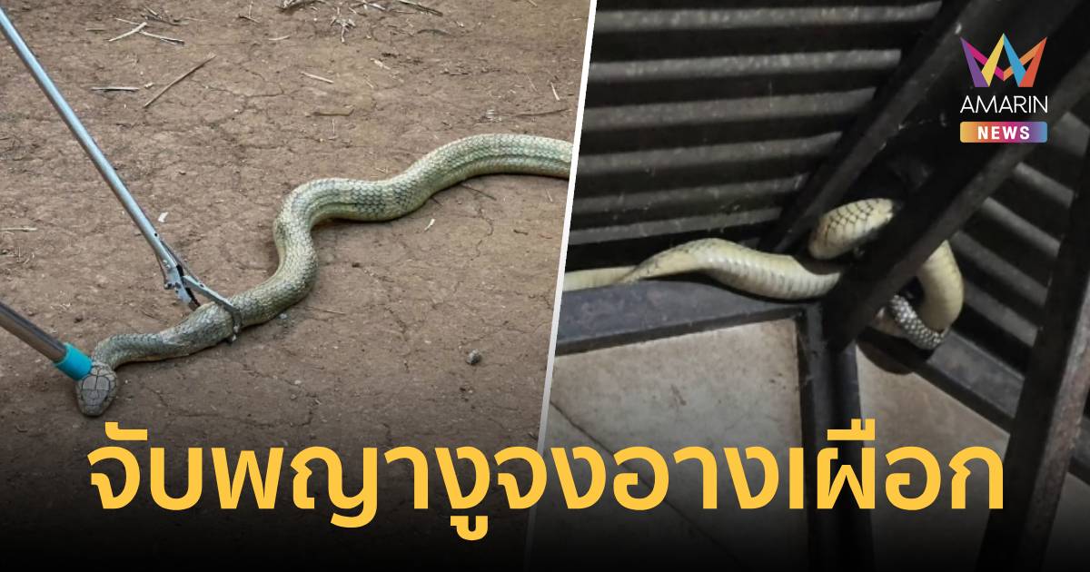 นาทีระทึก! บุกจับ 