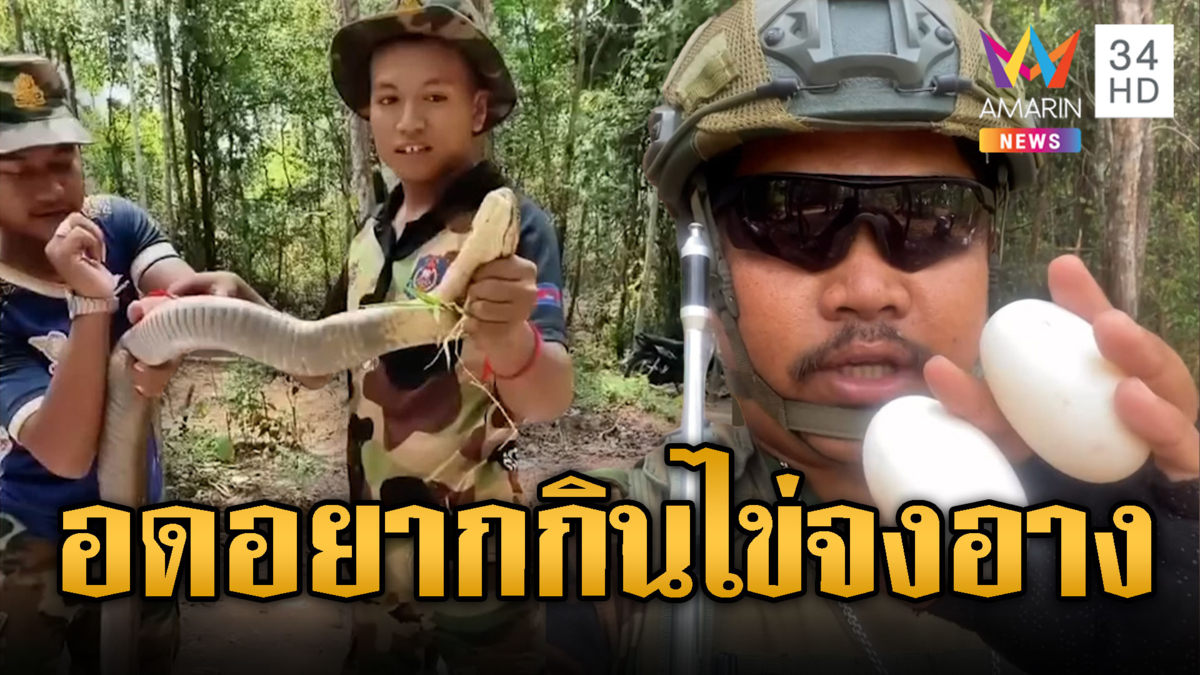 ทหารเขมรไม่กลัวอาถรรพ์ กินไข่บองหลา