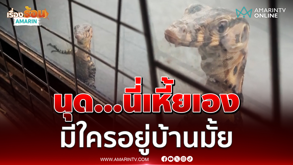 เชื่อมาให้โชค ตัวเหี้ยเกาะกระจกทักทาย