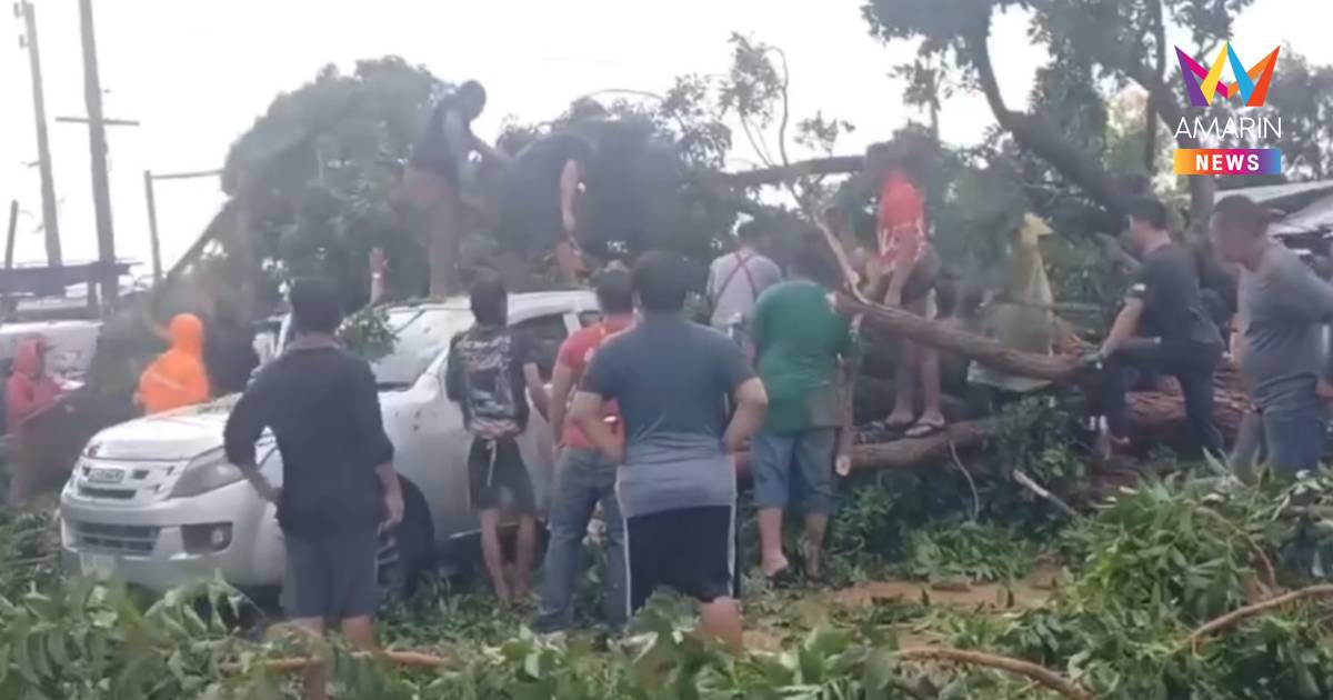 นาทีระทึก!พายุฤดูร้อนถล่มตลาดนัดสีคิ้วต้นไม้ทับรถพ่อค้าเด็ก2คนหวิดดับ