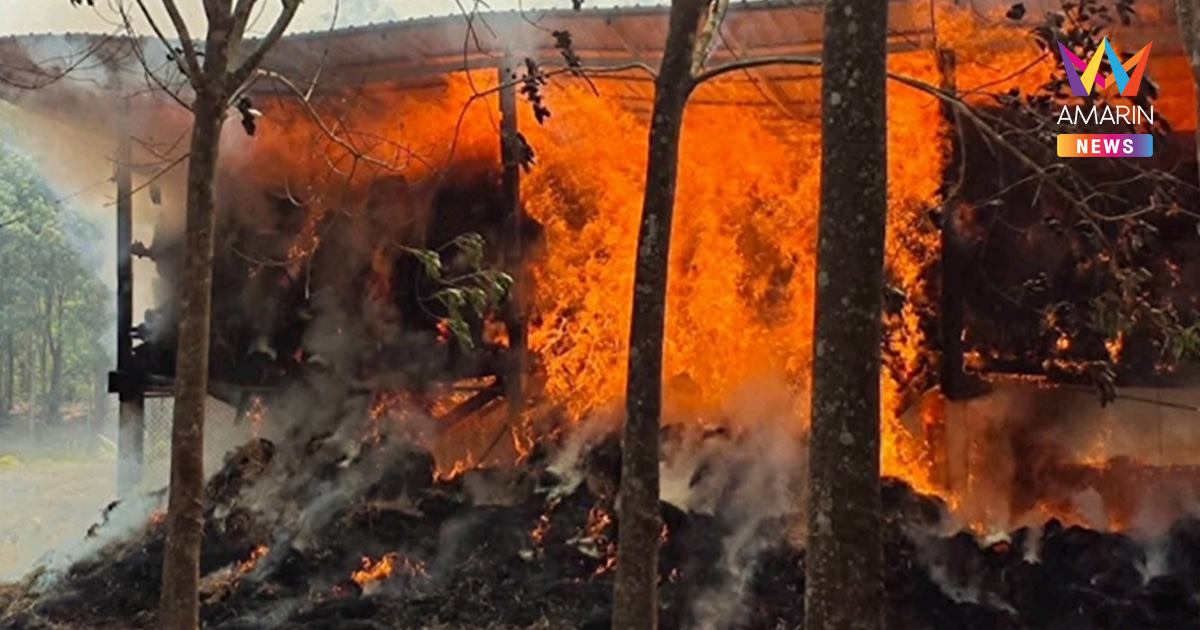 ไฟไหม้คอกสัตว์วอดทั้งหลัง แพะ-แกะถูกคลอกตาย ไก่กว่า 150 ตัวไม่รอด