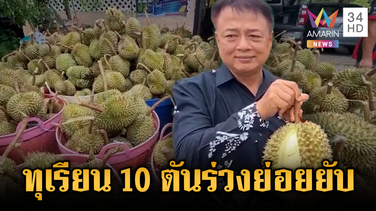 ชาวสวนน้ำตาร่วง! ทุเรียนถูกพายุซัดร่วง 10 ตัน ตัดใจขาย กก.15 บาท