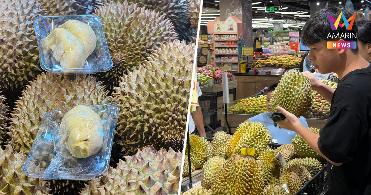 ไทยแชมป์ ราชาผลไม้ครองแผ่นดินมังกร จีนนำเข้าทุเรียนพุ่ง 1.8 ล้านตัน
