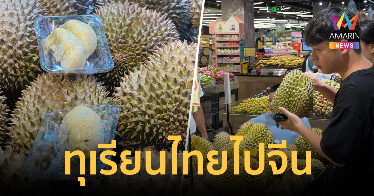 ไทยแชมป์ ราชาผลไม้ครองแผ่นดินมังกร จีนนำเข้าทุเรียนพุ่ง 1.8 ล้านตัน
