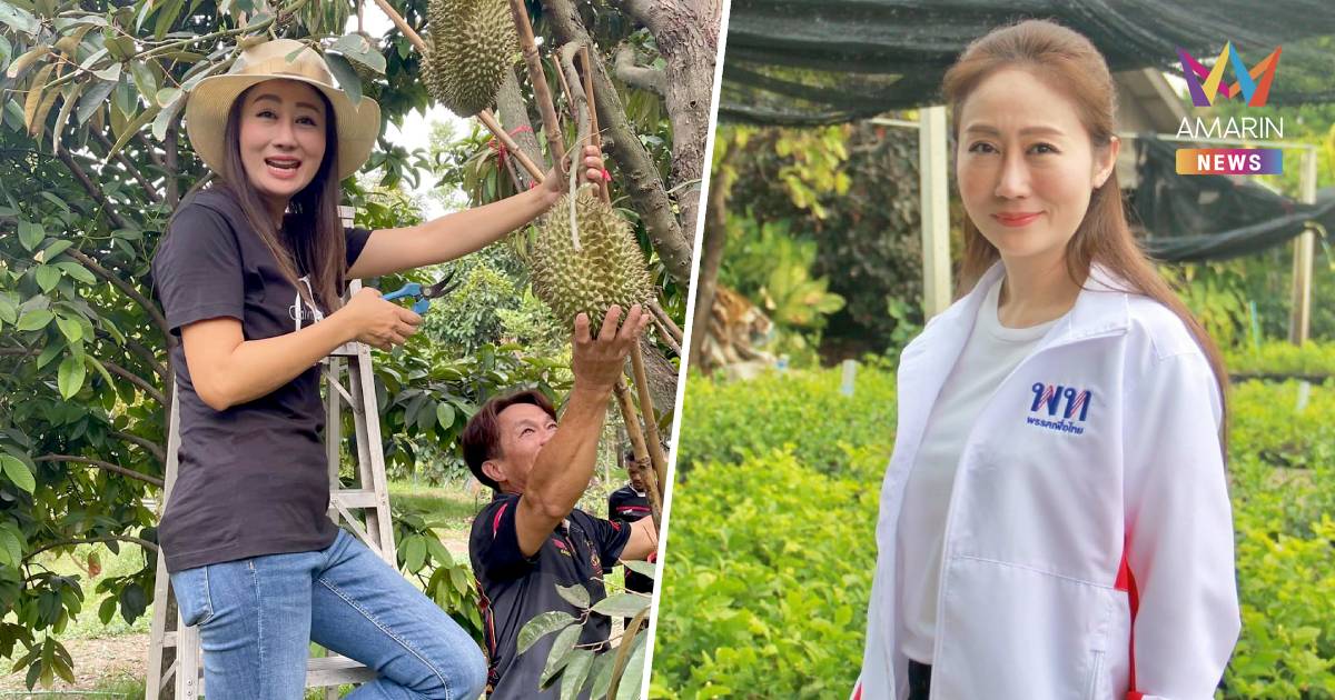 ดร.เป้ ไม่มองเป็นดรามา ไลฟ์สดขายทุเรียน ภาครัฐควรเร่งวางมาตรการเชิงรุก