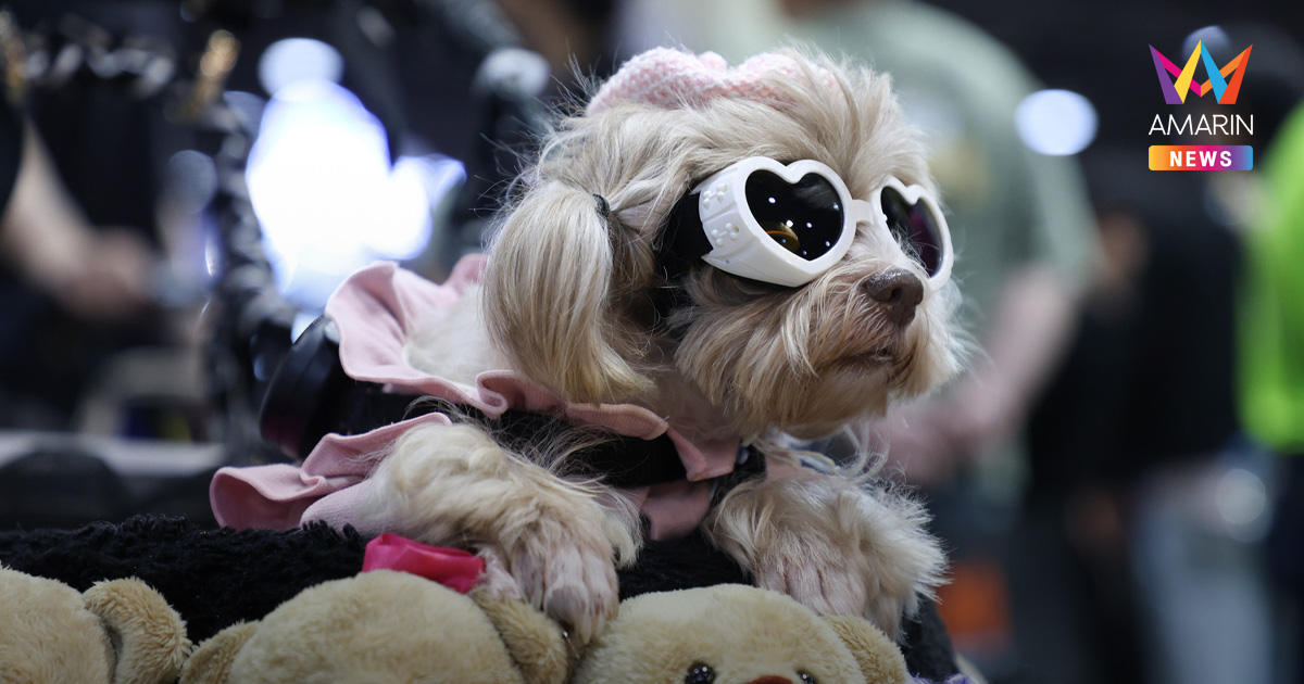 ศูนย์สิริกิติ์ เปิดงาน PET EXPO THAILAND 2026 มหกรรมสัตว์เลี้ยงสุดยิ่งใหญ่ประจำปี