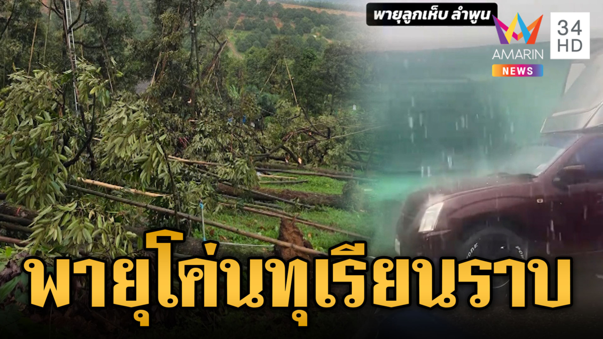 น้ำตานอง! พายุพัดต้นทุเรียนโค่นทั้งสวน ลำพูนระทมลูกเห็บถล่มหนัก
