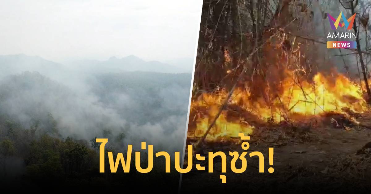 ไฟป่าปะทุซ้ำ! ลุกลามหนักในเขตป่าสงวนลำปาง เสียหายแล้วไม่ต่ำกว่า 60 ไร่