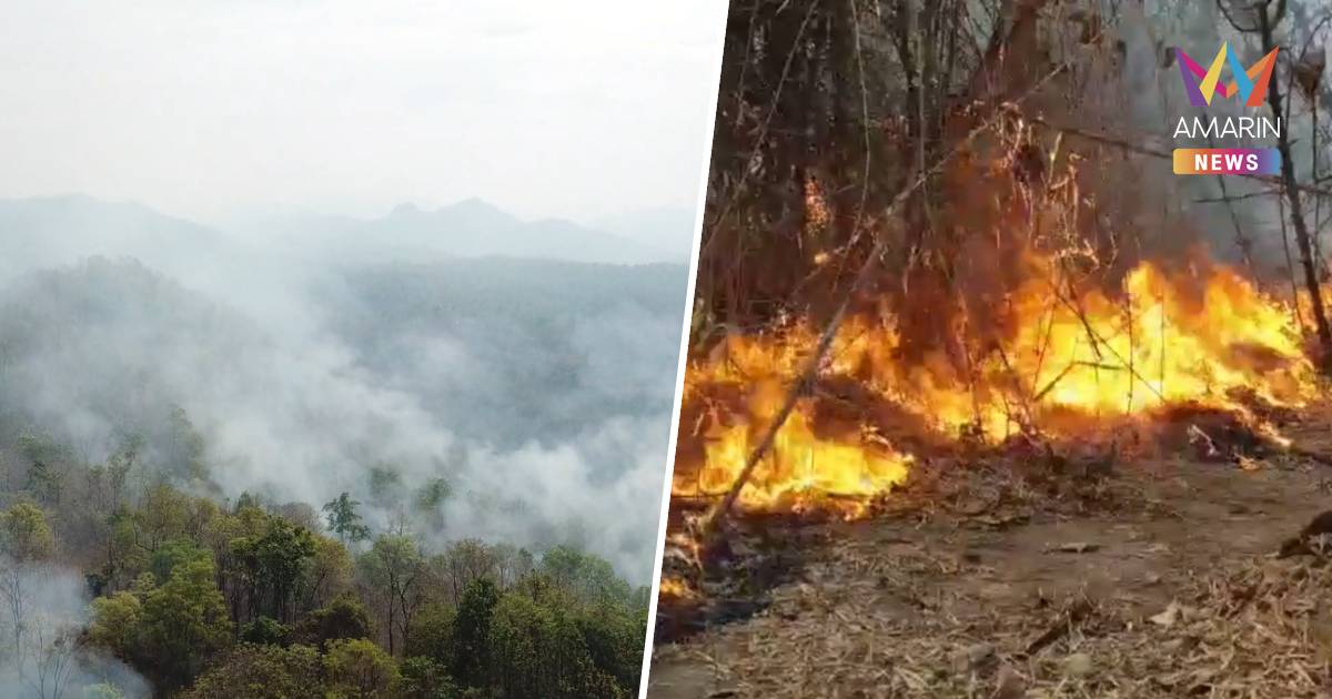 ไฟป่าปะทุซ้ำ! ลุกลามหนักในเขตป่าสงวนลำปาง เสียหายแล้วไม่ต่ำกว่า 60 ไร่