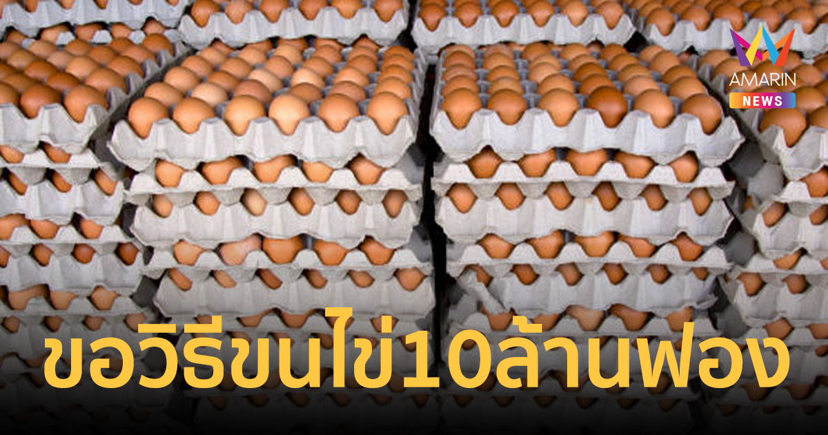 ไวรัลสนั่นโซเชียล! โพสต์ถามวิธีขน 