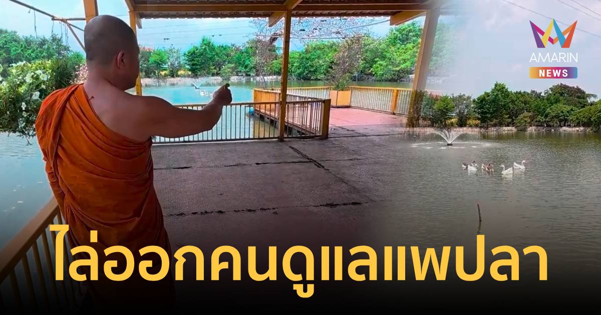 เซ่นปากแจ๋ว! วัดโพรงอากาศไล่ออกคนดูแลแพ ปมดรามาห้ามชาวบ้านพกอาหารปลา