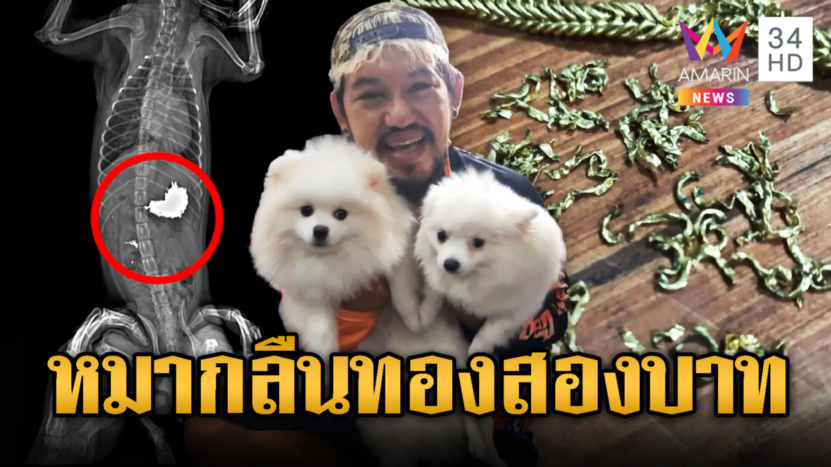 เจ้าของช็อก! "น้องปอม"กลืนทอง2บาทลงท้อง