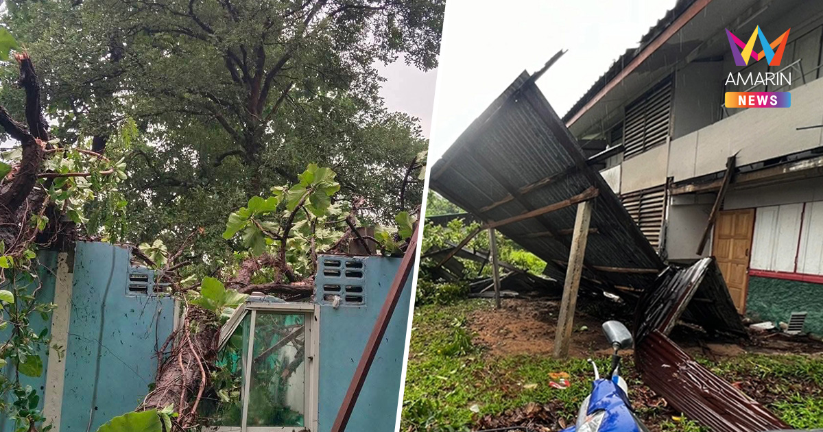 พายุถล่มโรงเรียนร้อยเอ็ดรับเปิดเทอม ต้นไม้โค่นทับบ้านพักครูพังเสียหาย