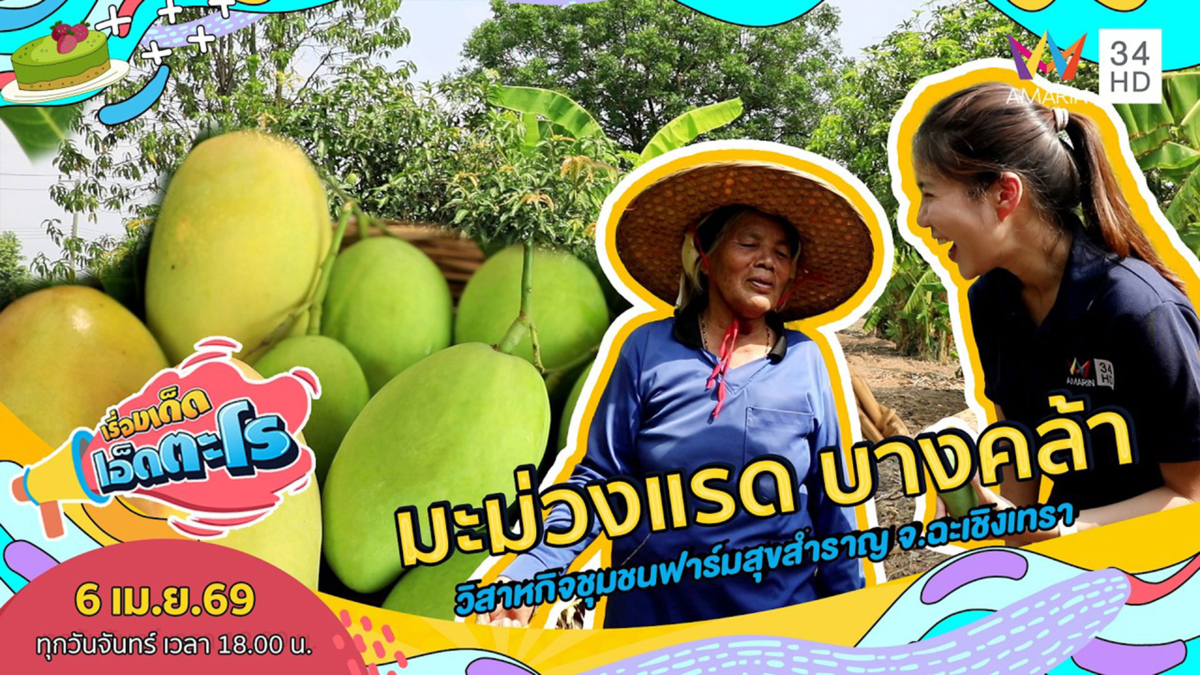 มะม่วงแรด บางคล้า วิสาหกิจชุมชนฟาร์มสุขสำราญ จ.ฉะเชิงเทรา