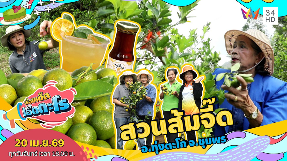 สวนส้มจี๊ด อ.ทุ่งตะโก จ.ชุมพร