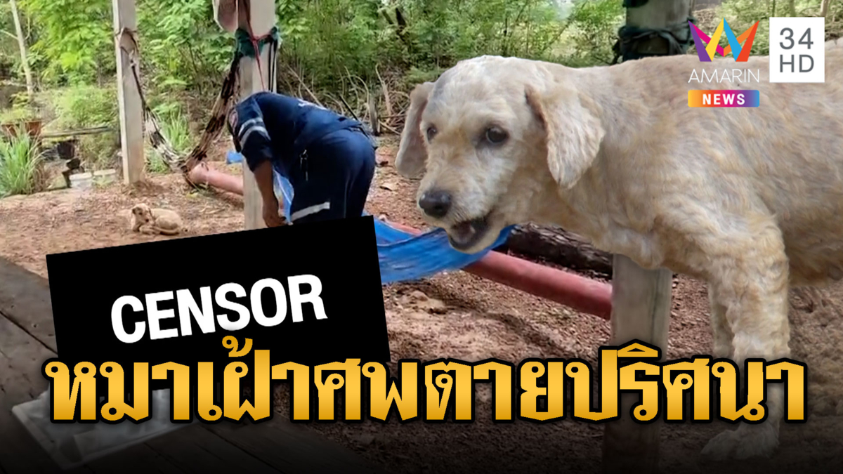 รันทดหมานอนเฝ้าศพคุณป้า พิรุธผ้าถุงหลุดปริศนา